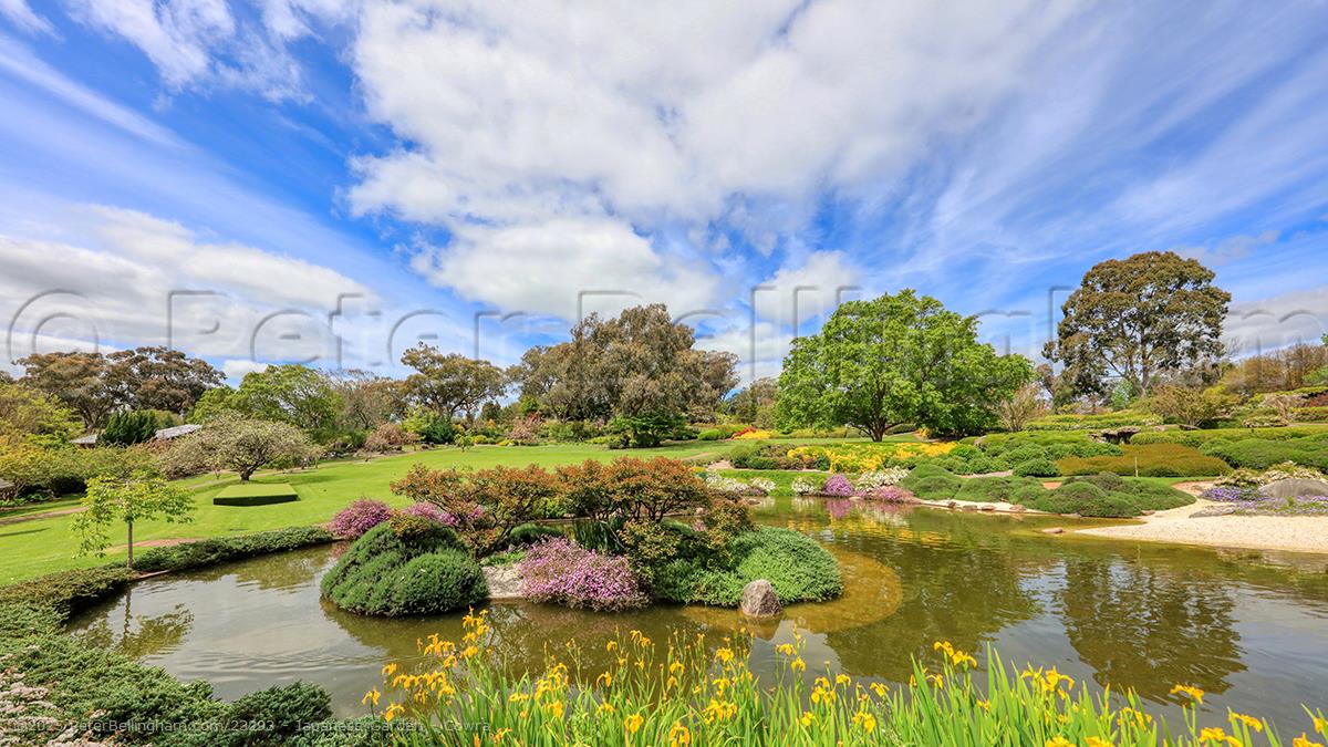 Peter Bellingham Photography Japanese Garden - Cowra